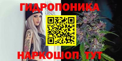 синтетический гашиш Кингисепп