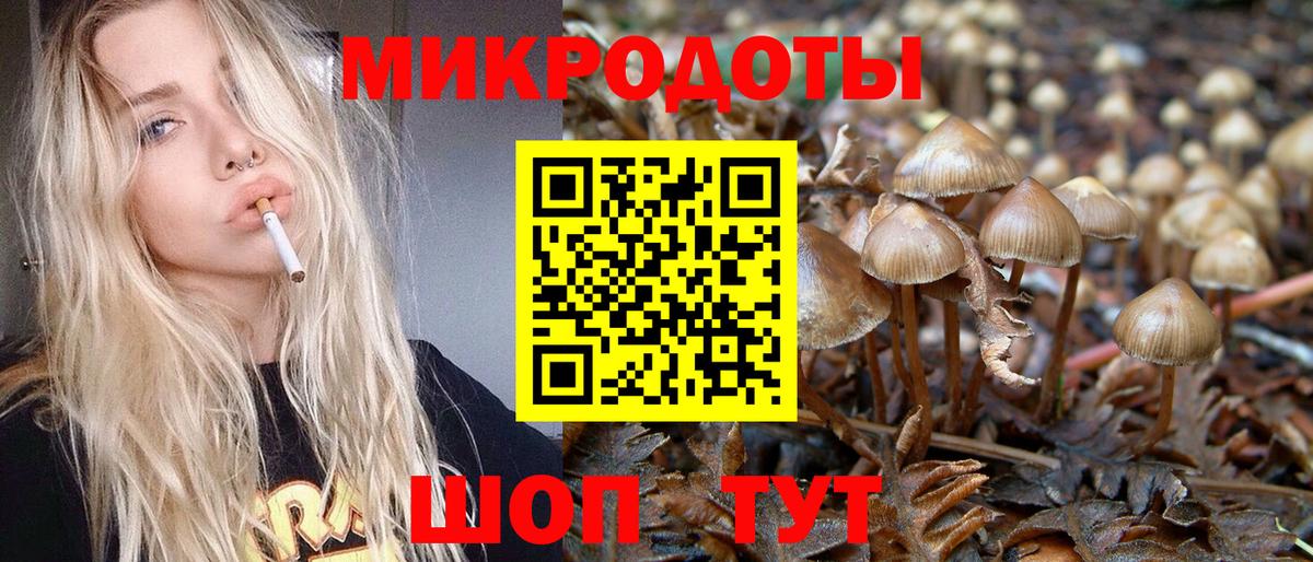Псилоцибиновые грибы Psilocybine cubensis  Вход с VPN  Коммунар  Галлюциногенные грибы ЛСД 
